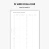 52 week savings challenge planner inserts