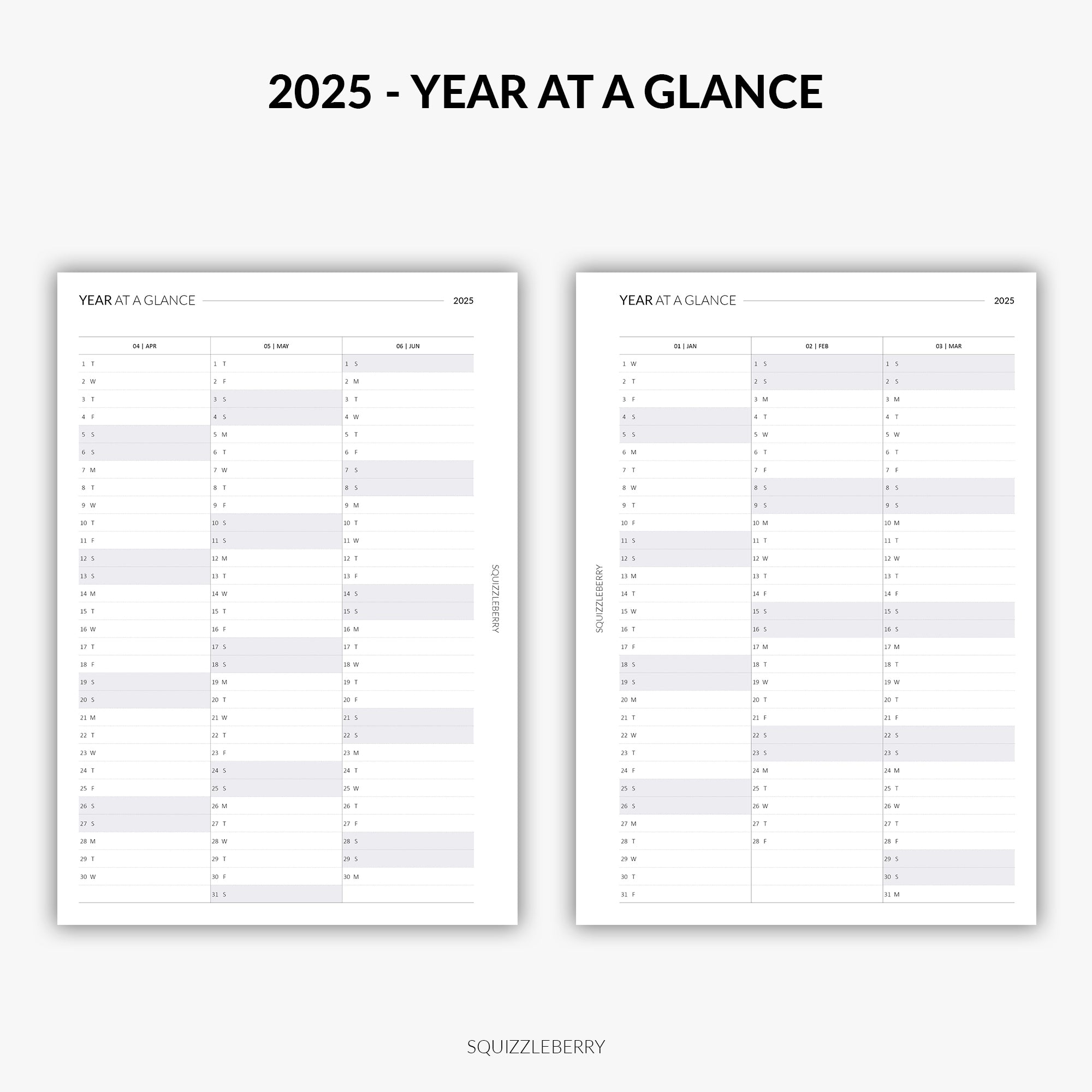 2025 - Year at a Glance