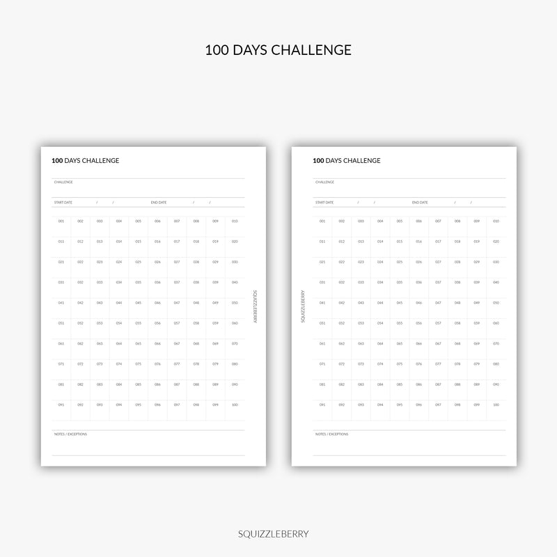 100 Days Challenge