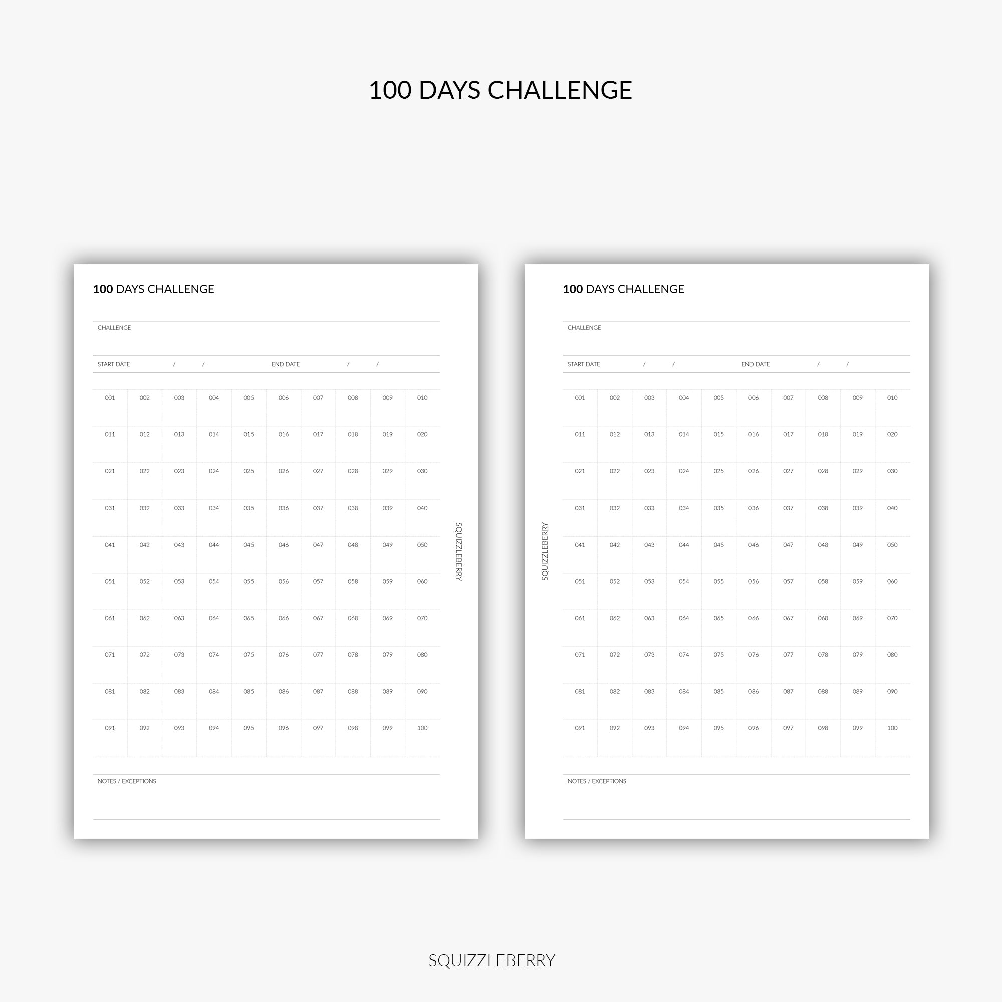 100 Days Challenge