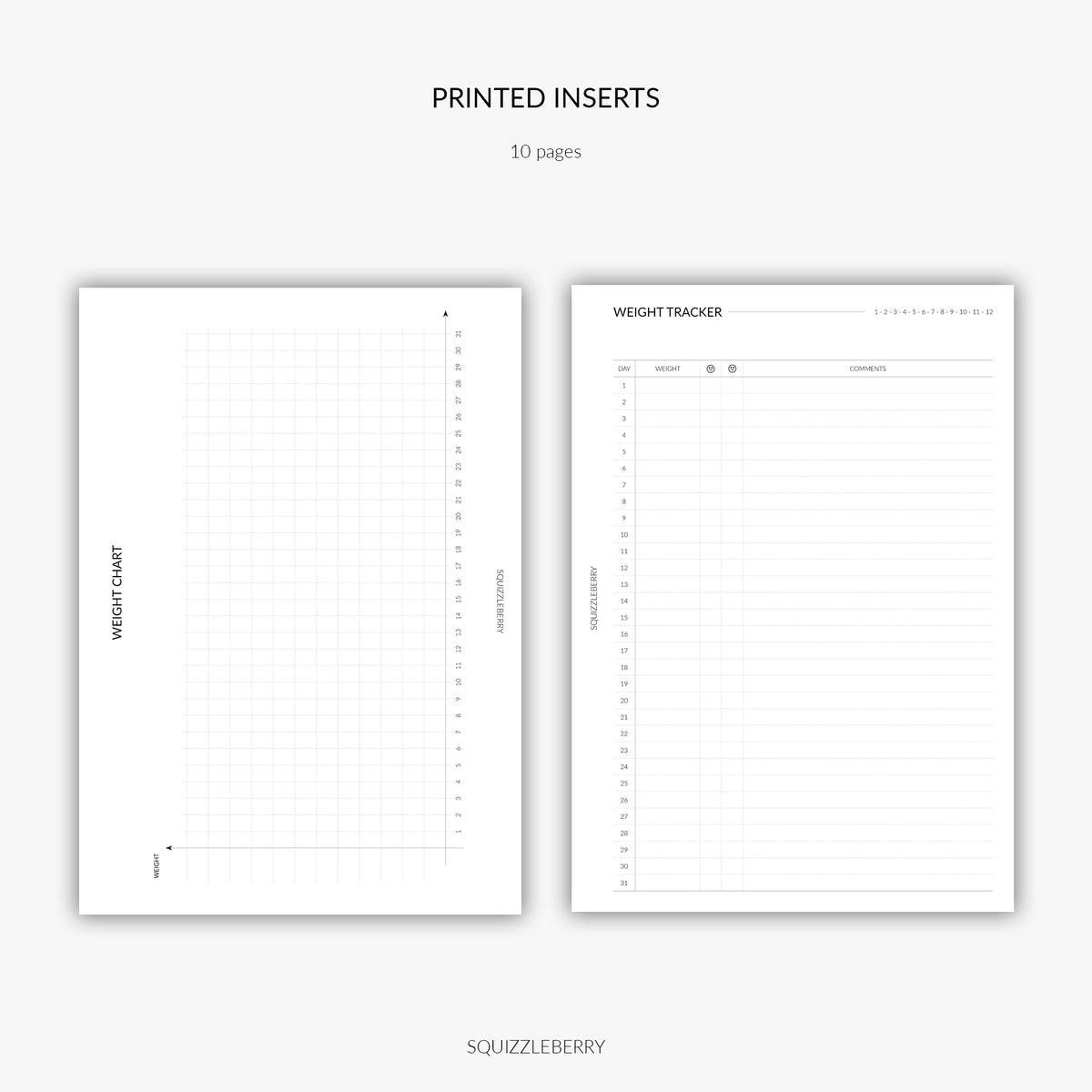 Winter A5 monthly Planner Inserts /expense Inserts /personal size