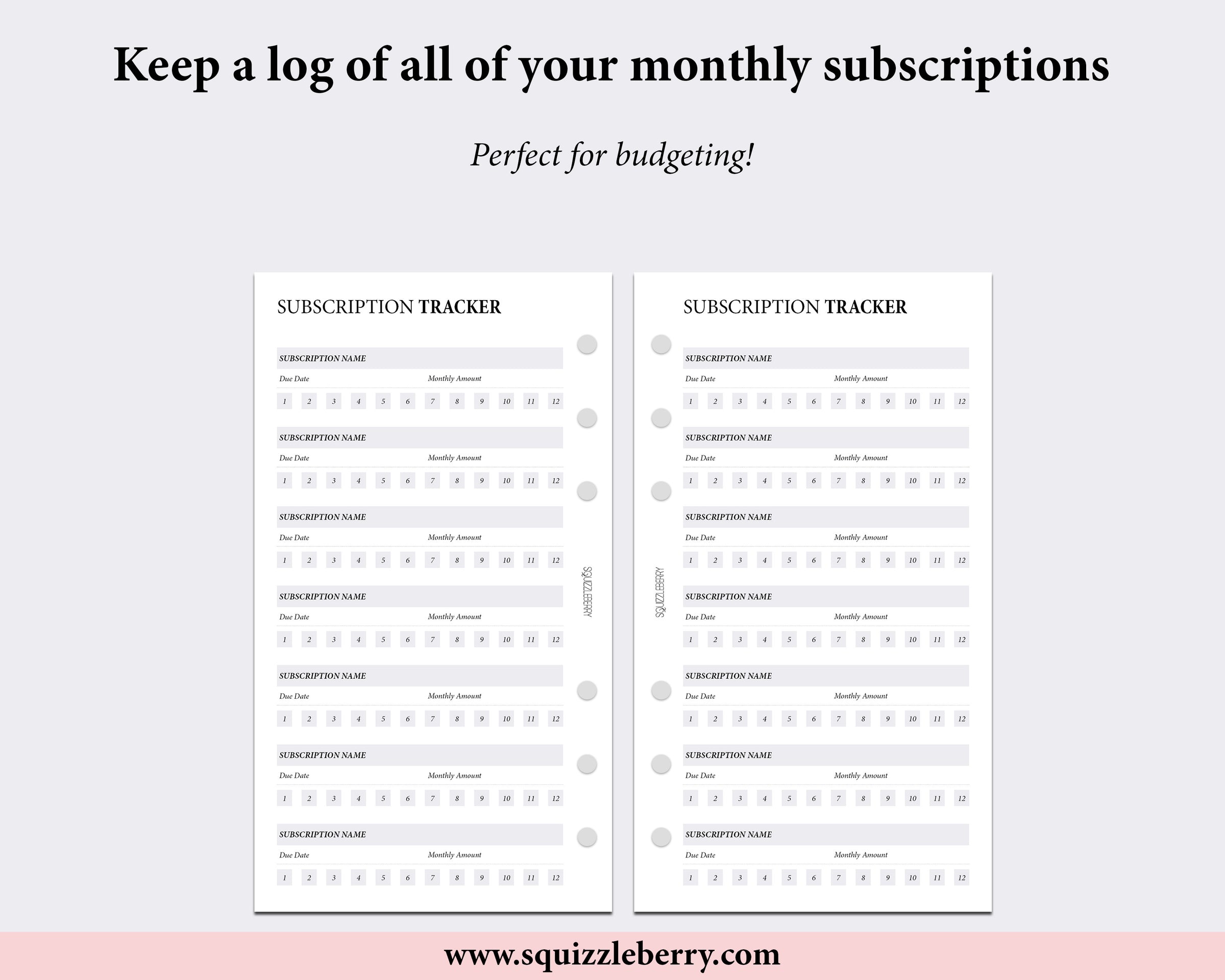 Subscription Tracker - Personal | SquizzleBerry